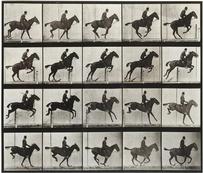 Eadweard Muybridge (1830-1904)