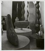 Fonds Constantin Brancusi